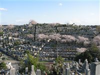八事霊園