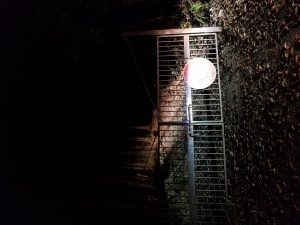 犬山天狗神社