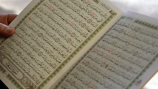 占いの書