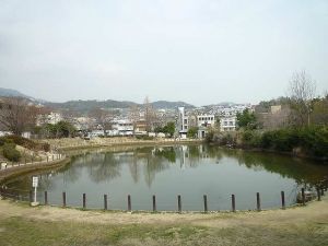 樋之池公園プール(手っちゃん)