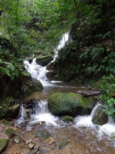 鶯の滝