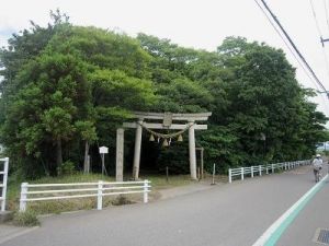 天狗の森