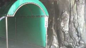 雄島トンネル