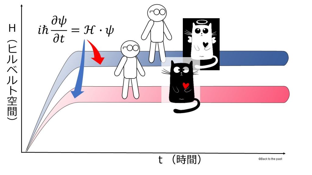 多世界解釈でのシュレディンガーの猫