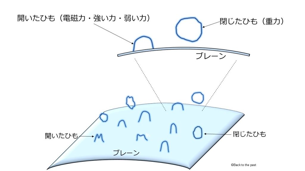 超弦理論の「開いたひも」と「閉じたひも」