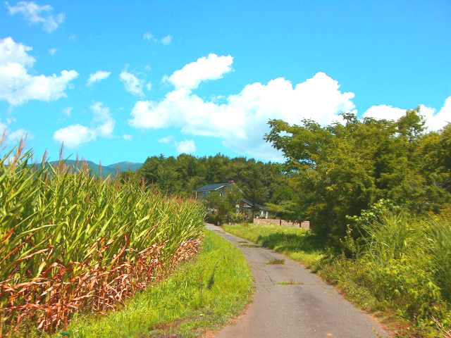 夢の中の田舎道