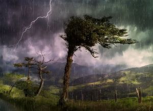 雷雨