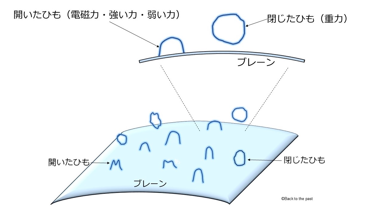 「開いたひも」と「閉じたひも」