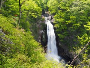 【大阪府の心霊スポット】源氏の滝の心霊現象や行き方、由来を紹介！