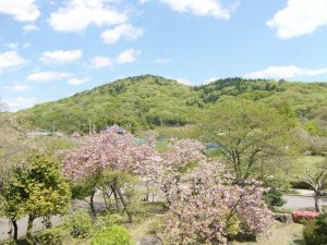 【本当に危険】愛知県のヤバい心霊スポットランキング！