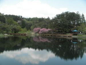 【知ってた？】山梨県のヤバい心霊スポットランキング！