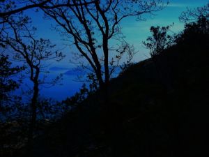 【兵庫県の心霊スポット】F山〇峠の自殺体【実話怪談】