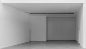 【思考実験:マリーの部屋】色を知らない人に「赤色」をどう説明する？