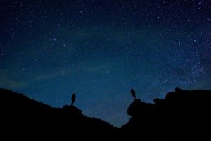 未確認飛行物体?!兵庫で発見された謎の飛行体はなに?