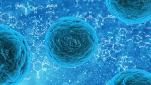 うつ病の要因かもしれない?ヒトヘルペスウイルスがつくるたんぱく質