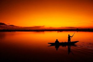 セネガルでは謎の皮膚疾患･･･カムチャツカでは海洋生物死亡