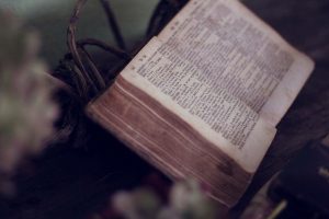 65年ぶりの大発見！死海文書が発表された