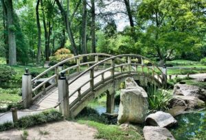服部緑地公園内には存在しないはずの「河童池」が存在する！？
