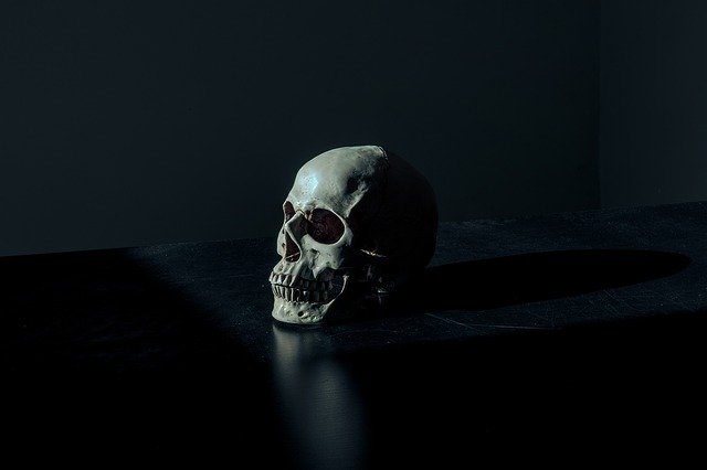 奇跡と言っても過言ではない！「古代ペルー（インカ帝国）の脳外科手術」