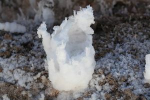 人が塩柱になった?!本当に怖い！聖書のエピソード