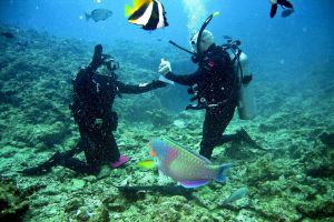 【事件・事故】世界的有名ダイバーのユーリ・リプスキーはなぜ海底へ沈んだのか？その死の真相に迫る -前編-【考察シリーズ】