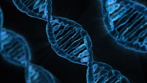 デザイナーベビー?遺伝子操作をした子供が生まれたらどうなるのか