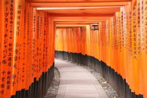 謎の渡来人「秦氏」一族のルーツと稲荷信仰の謎【まとめ】