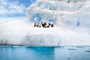 ペンギンは宇宙から来た?!ペンギンの糞から見つかったホスフィンってどんな物質
