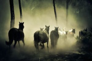 【古代日本に誰が来た？】空白の4世紀に隠された謎～騎馬民族の侵略はあったのか～