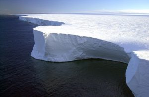 極寒の南極の海底で"新しい生命体"が発見された!?