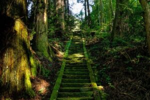 本当にあった神隠し！？赤城神社夫婦失踪事件