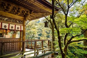 油断対敵の語原になった「比叡山」の灯