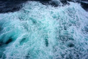 【未知の世界】深海ってどんなところ?実は海の8割は深海だった！