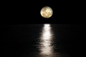 「笑う水死体」の正体とは！？水死体が笑うのか・・・？
