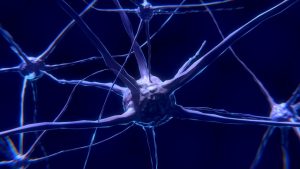 カナダで"未知の脳疾患"が発見された！致死率が高く原因不明