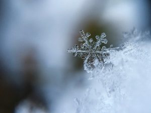 猛暑から一転！涼しい秋へ?南アフリカの産地では大雪が降りグリーンランドの山では雨が降る