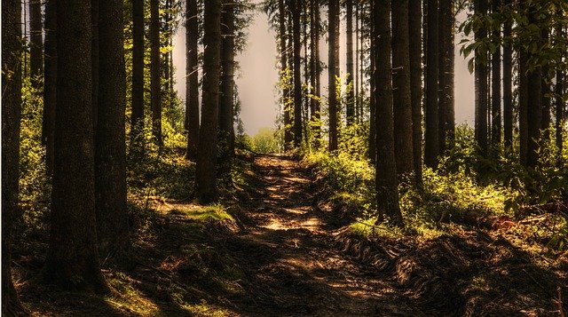 松尾芭蕉の正体は○○だった！？おくのほそ道に隠された意味とは？